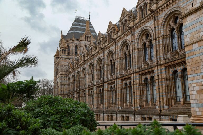 Museo Ciencias Naturales Londres: Qué Ver, Horarios y Consejos museo ciencias naturales londres
